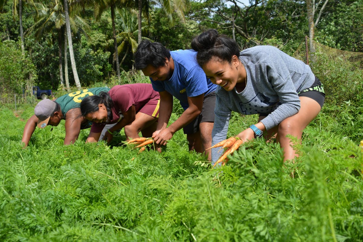 Climate Change Solutions from Local Knowledge